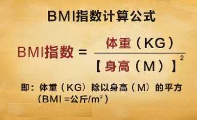 骨密度體重指數(shù)BMI.jpg